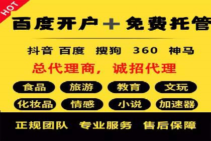 某公司SEM广告投放的全程回顾与效果评估